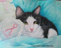 Breast Cancer Kitty CP e-Packet